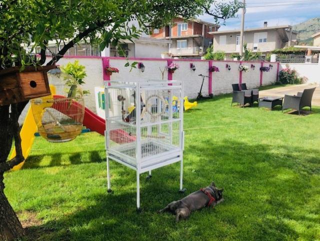 Apartman Mona Podgorica Eksteriør billede